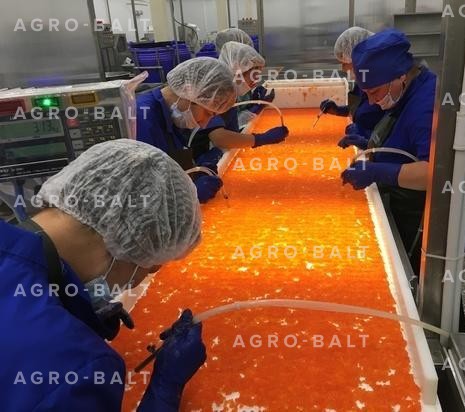 Транспортер инспекционный с подсветкой и вакуумными пинцетами