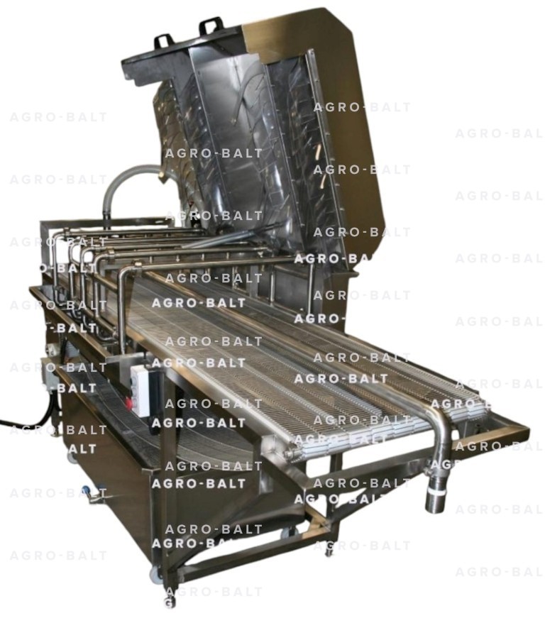 Мойка рыбы транспортерная тип 290 R