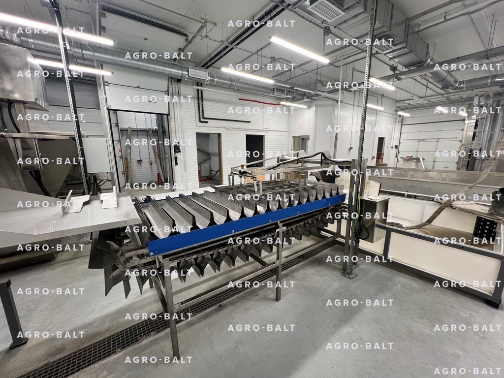 Конвейер калтычки рыбы