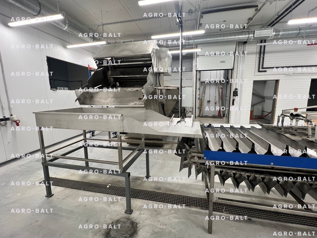 Конвейер калтычки рыбы