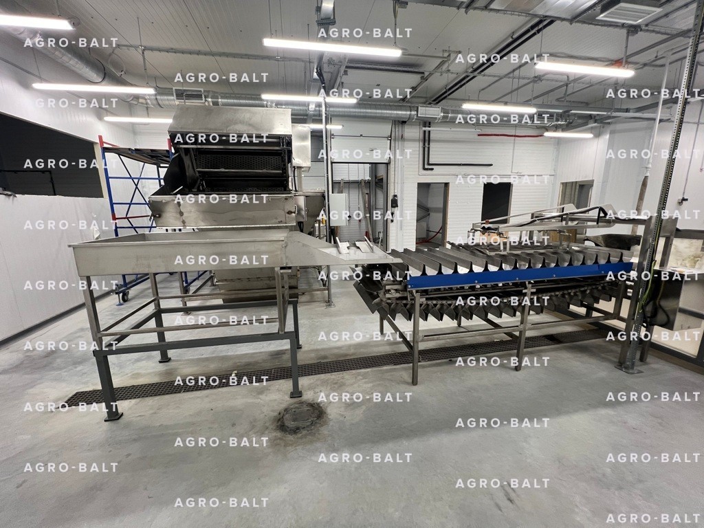 Конвейер калтычки рыбы