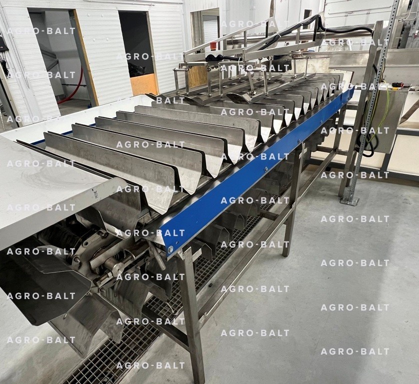 Конвейер калтычки рыбы