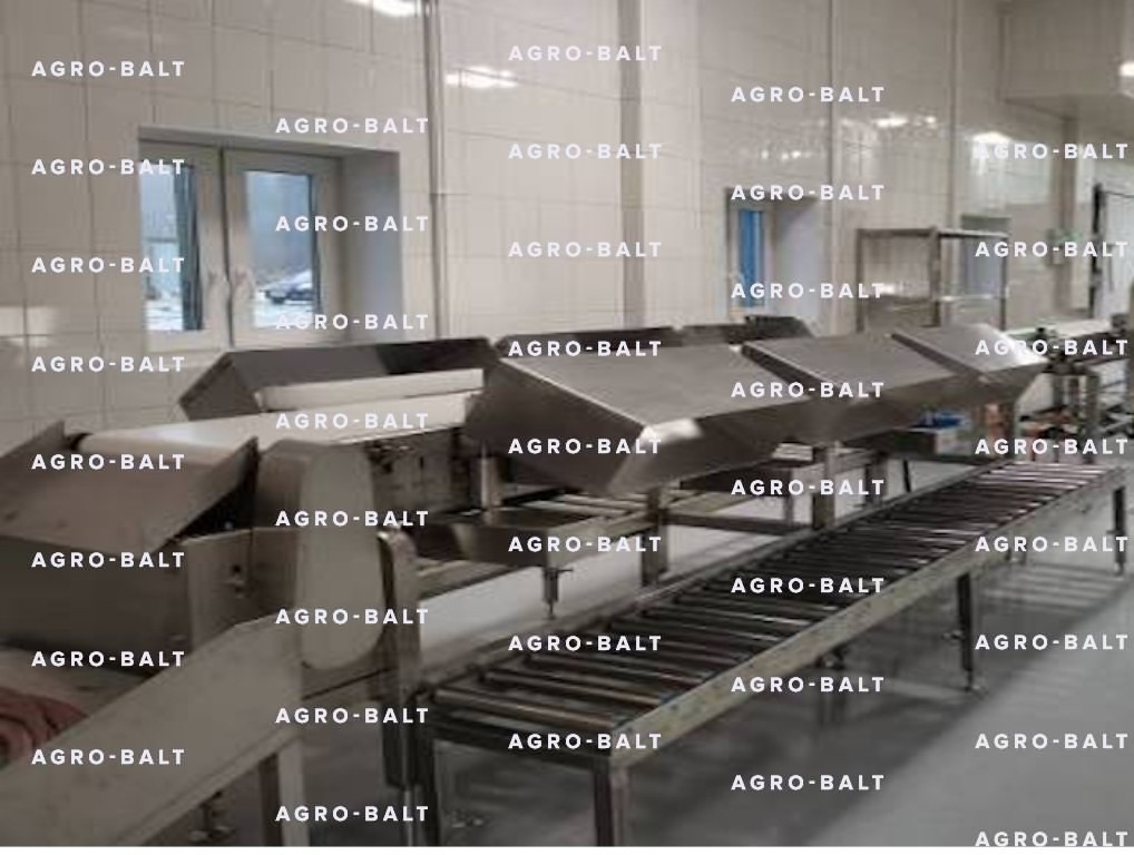 Грейдер тип 139R-6 (динамическая сортировка рыбы по весу)