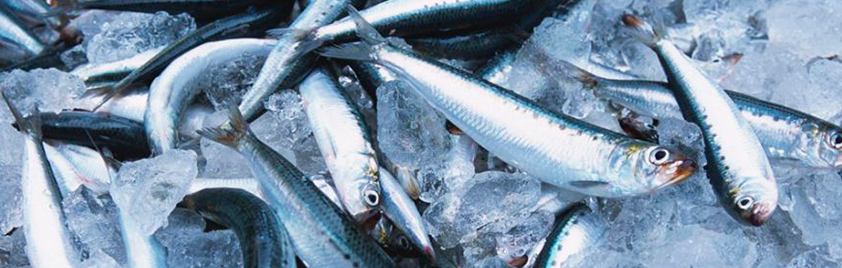 О компании АгроБалтПроект О компании АгроБалтПроект